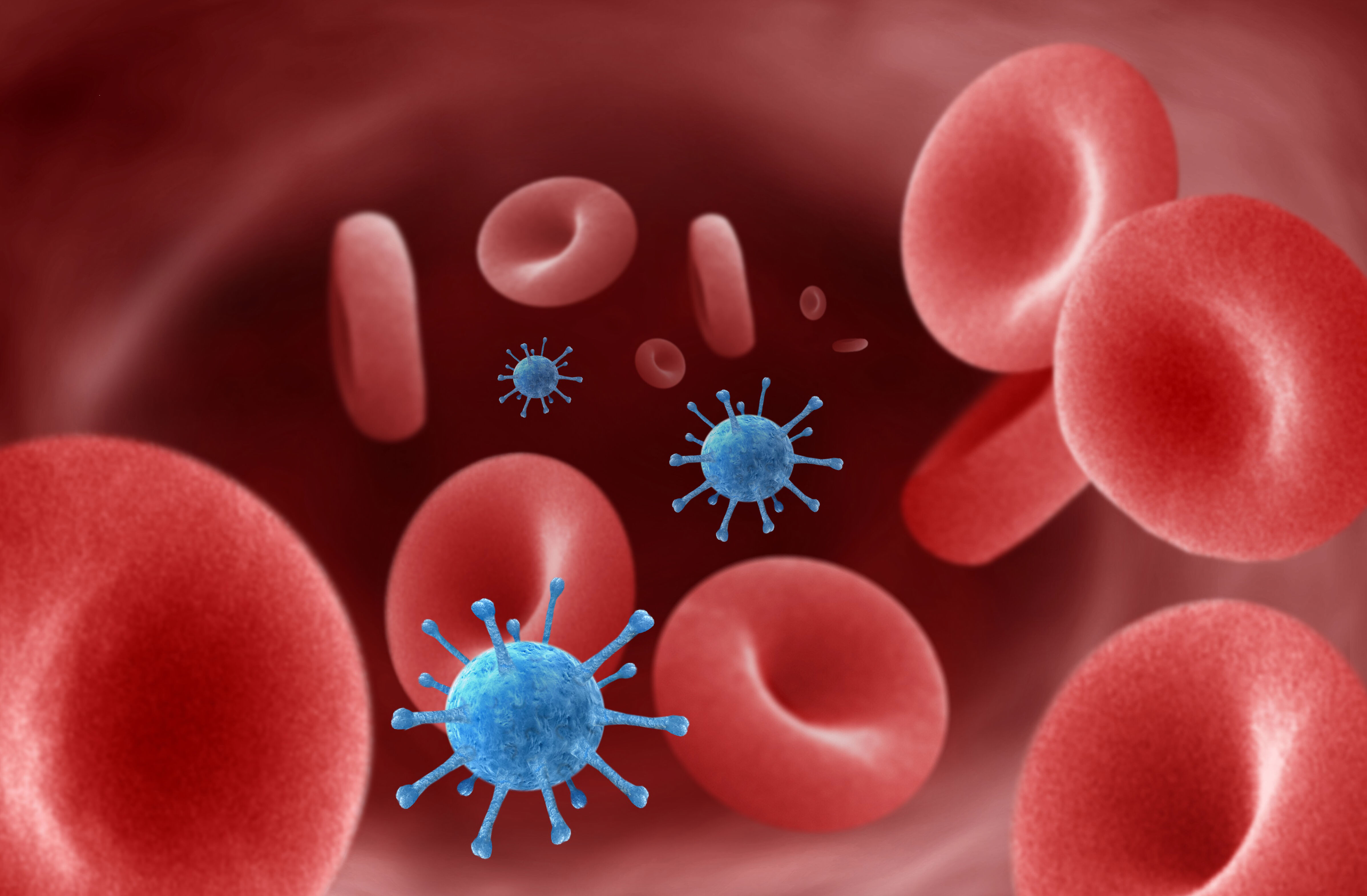 Viruses in the blood stream Collection