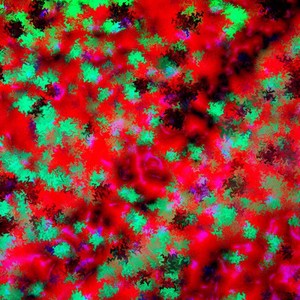 view Confocal micrograph of Bacillus subtilis. Bacillus subtilis is a Gram-positive, rod-shaped bacterium, commonly found in soil. Fluorescent proteins (TagRFP-T, sfGFP, TagBFP, mKate2 and mOrange2), time-lapse confocal microscopy and biophysical models are being used to understand the organization of bacterial biofilms. 