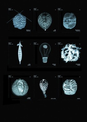 Artworks of the Brain as b/w negative images