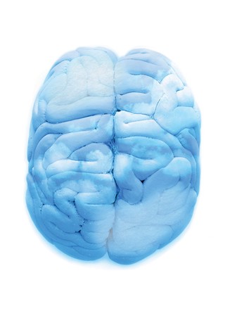 Blue Sky Thinking, artwork of the brain