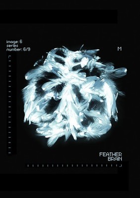 Feather Brain, artwork of the brain