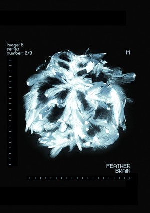 view Feather Brain, artwork of the brain