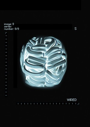 view Wired, artwork of the brain