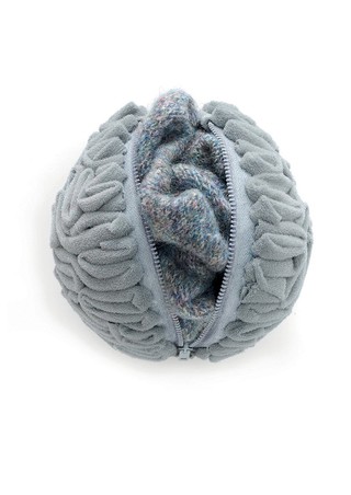 Open Minded, artwork of the brain