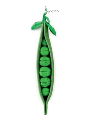 Pea Brain, artwork of the brain