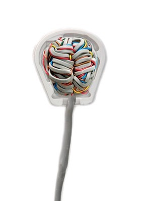 Wired Plugged, artwork of the brain