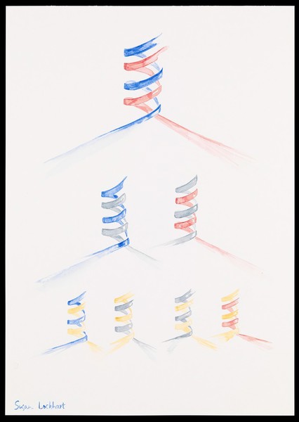Illustration depicting semi-conservative DNA replication. Three generations of DNA are shown. After separation of the DNA double helix, two new complementary DNA strands are synthesised (indicated by a new colour). Complementary base pairing and hydrogen bonding results in formation of a new double helix.