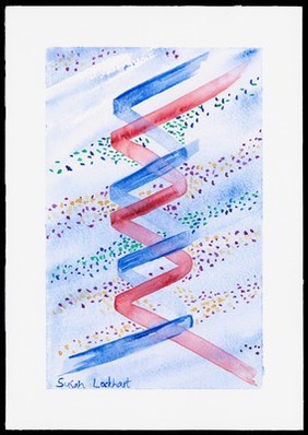 Illustration of the DNA double helix. The sugar-phosphate backbone of the two complementary strands are visible (red and blue).