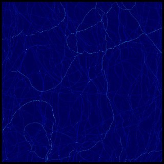 Amyloid fibrils, AFM