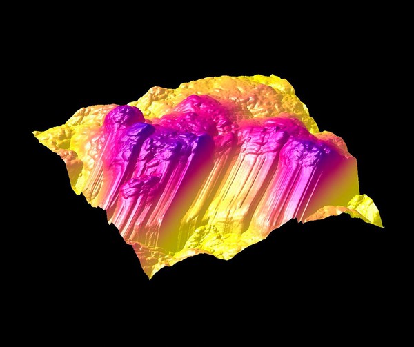 Human femoral bone, AFM