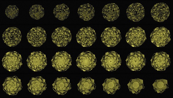 Cabbage, axial view, MRI