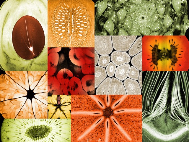 Collage of mixed fruits and vegetables, MRI