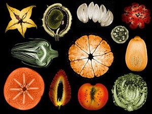 view Collage of mixed fruits and vegetables, MRI