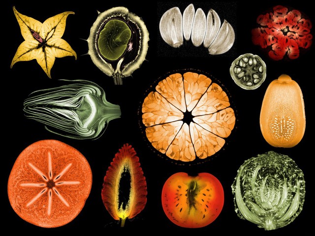Collage of mixed fruits and vegetables, MRI