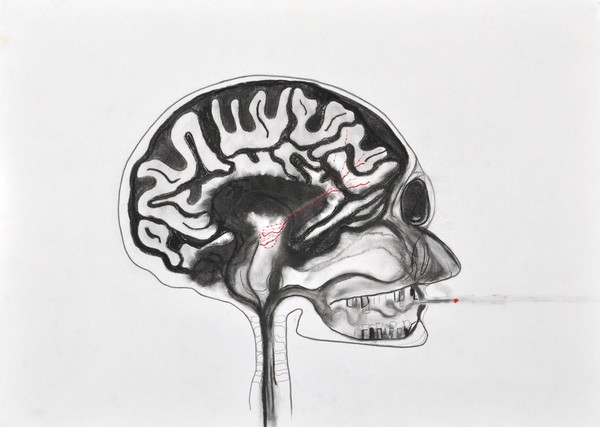 Addiction and reward pathways in the brain, artwork