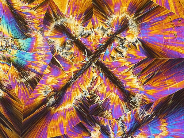 Salicin crystals