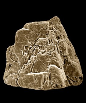 Single grain of sand, SEM