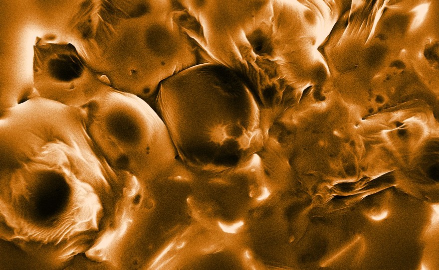 Crystallised ginger, SEM
