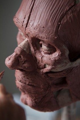 Human head sculpted in clay, facial muscles