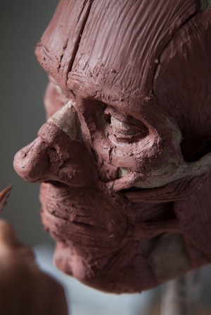 view Human head sculpted in clay, facial muscles