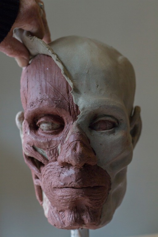 Human head sculpted in clay, applying the skin