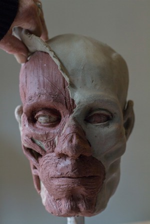 view Human head sculpted in clay, applying the skin