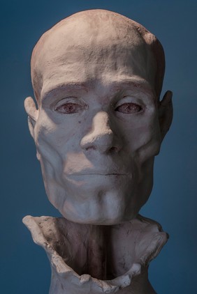 Human head sculpted in clay, completed model