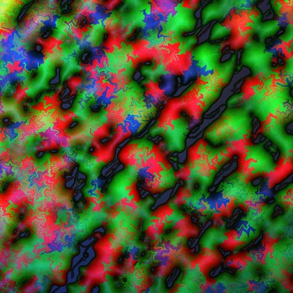 Fractal patterns in a Bacillus subtilis biofilm, LM