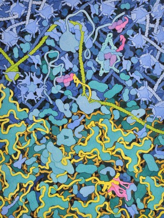 HIV transcription, HIV viral life cycle, illustration