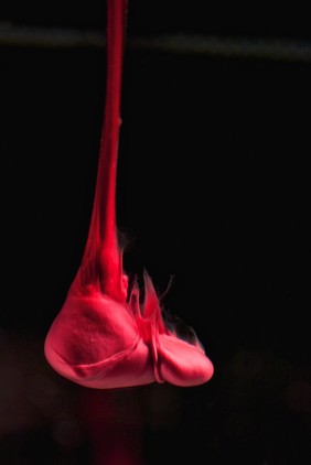 Menstrual blood, artwork title "Falling 2"