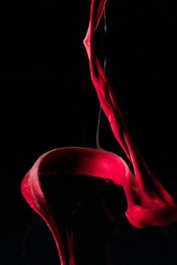 Menstrual blood, artwork title "Untitled #47"