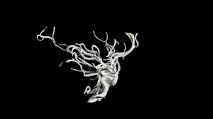 view Brain blood vessels, suspected meningitis, 3D printed nylon