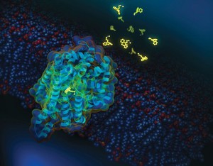 view Antidepressant drug blocking dopamine transporter protein