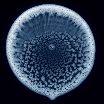 Dried buffer crystals, LM