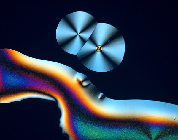Vitamin C (ascorbic acid) crystals, LM