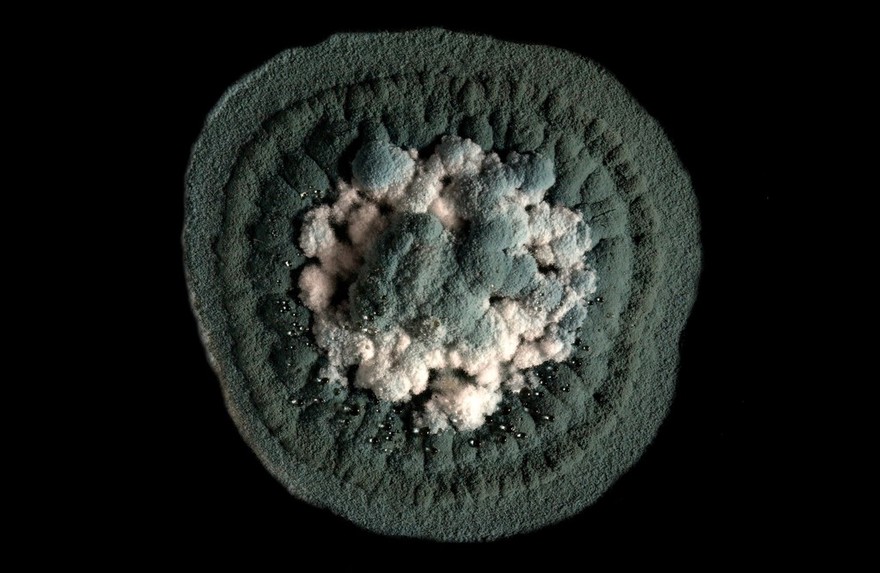 Bacteria metabolites from the respiratory tract