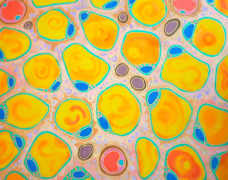 Adipose Tissue | Wellcome Collection