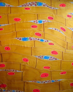 Cardiac Muscle