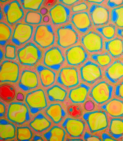 Adipose tissue or Adipocytes, also known as lipocytes and fat cells are the main cells forming fat tissue.