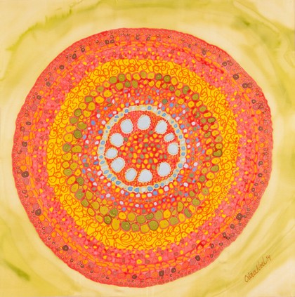 Maize root under the microscope