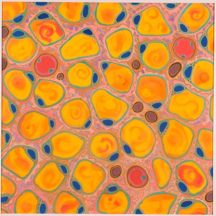 'More to love' Adipose tissue