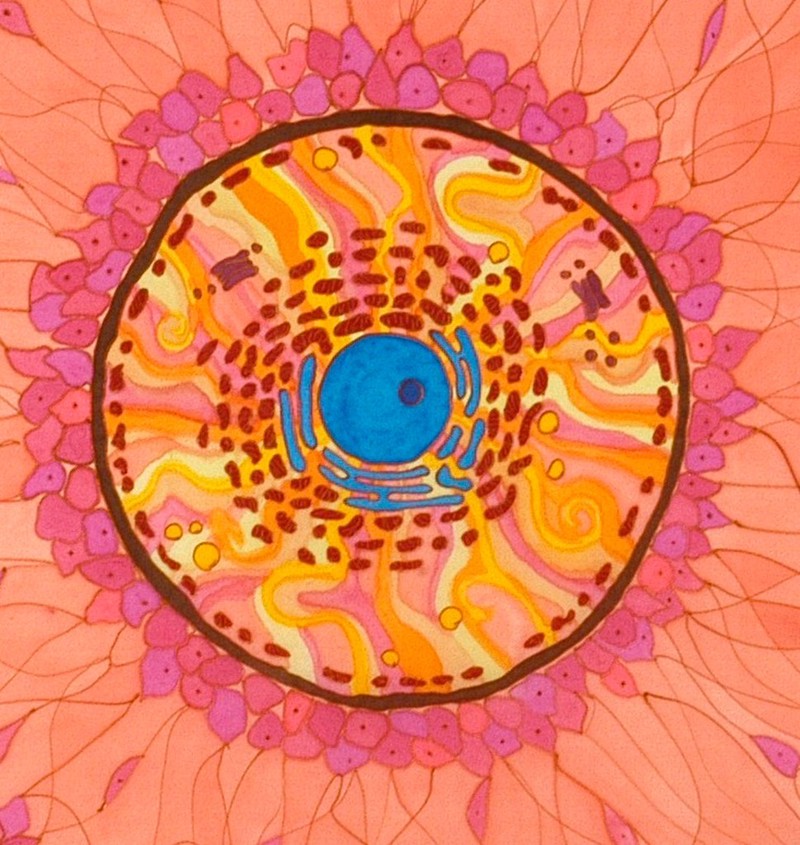 no text alternative