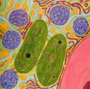 view Partners in crime - chloroplasts and mitochondria