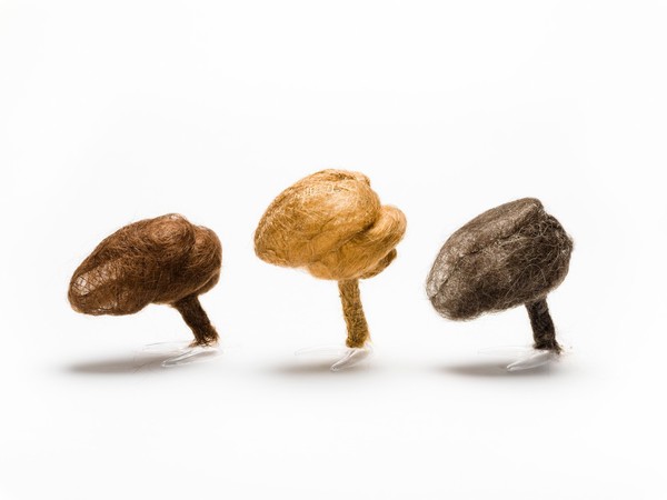 Hair brain sculptures