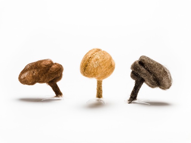 Hair brain sculptures