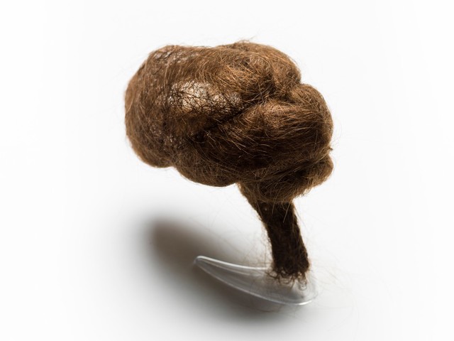 Hair brain sculpture