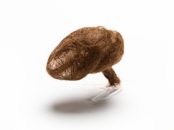 Hair brain sculpture