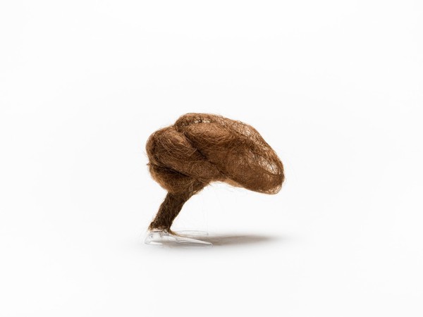 Hair brain sculpture