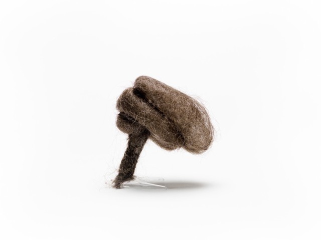 Hair brain sculpture
