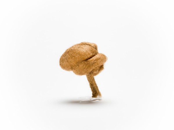 Hair brain sculpture
